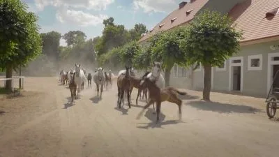Skupina jezdců na koních po prachové silnici u historických budov.
