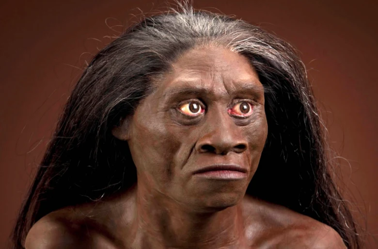 Rekonstrukce tváře pravěkého člověka Homo floresiensis s tmavou kůží.