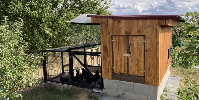 Dřevěný kuřatník s několika černými slepicemi v zahradním chovu.