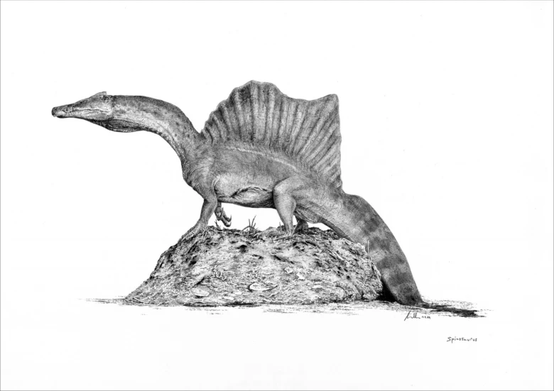 Ilustrace dinosaura Spinosaora stojícího na skále