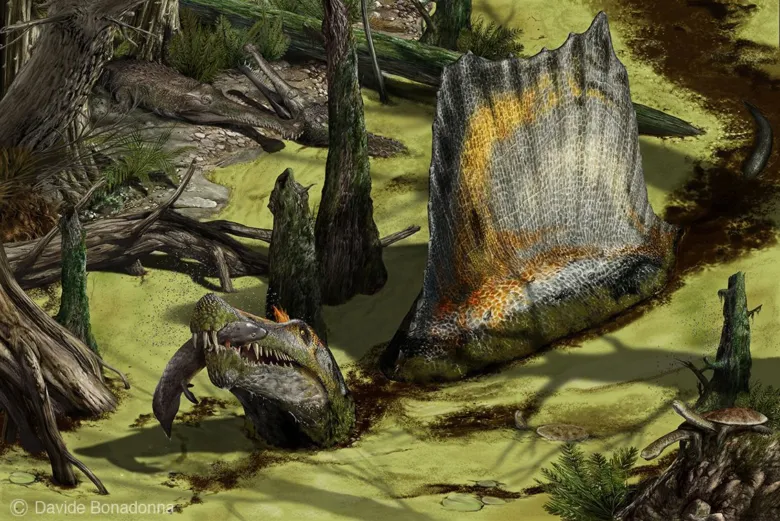 Ilustrace vodního dinosaura Spinosa v bažinatém prostředí.