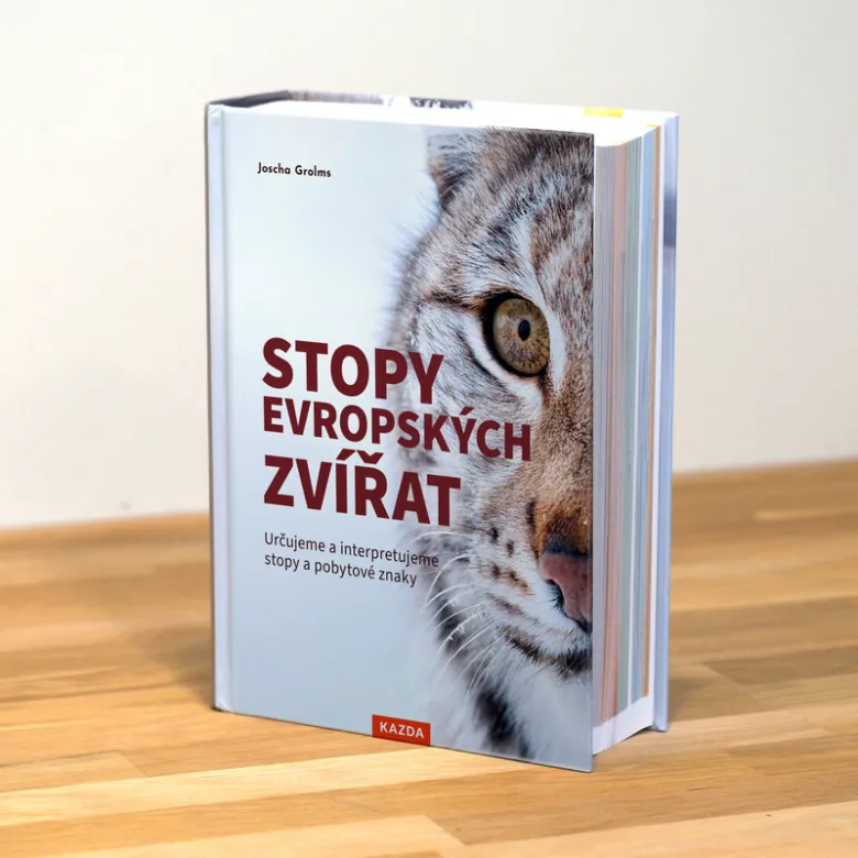 Knihy o stopách evropských zvířat s fotkou lva na obálce.