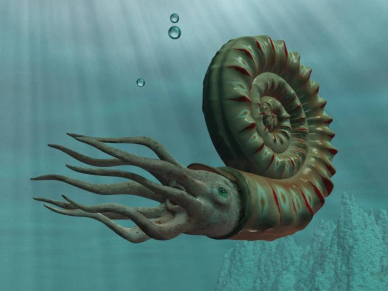 Ilustrace vyhynulého mořského živočicha amonita plavícího se ve vodě.