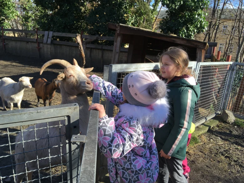 Děti krmit kozu v kontaktní zoo s dalšími zvířaty.