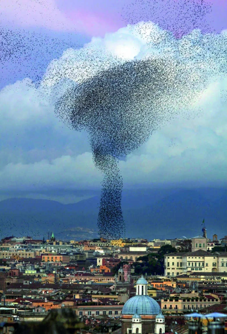 Obrovský stádo špačků tvoří tvar nad italským městem.