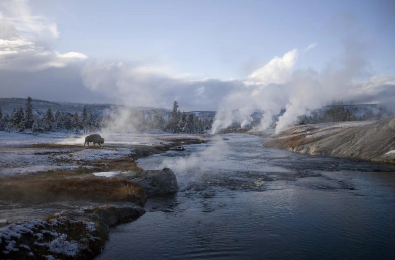 Americký bizon na sněhové řece s párou v Yellowstone.