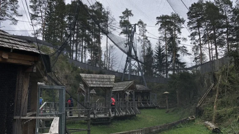 Venkovní voliéra s dřevěnými přístřešky v lese.