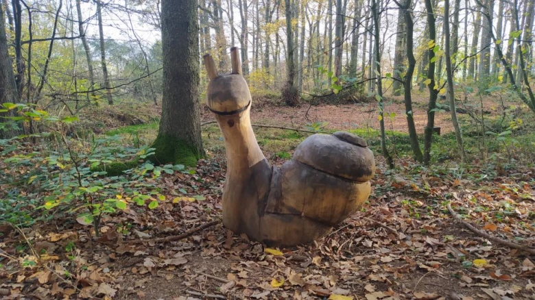 Dřevěná socha sluníka v lese u Ždírecké zoo.