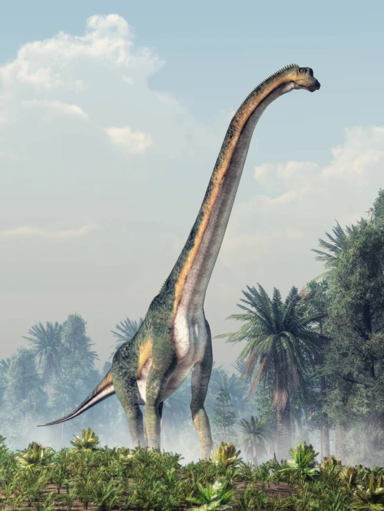 Velký dlouhokrký dinosaurus v pralesemu prostředí.