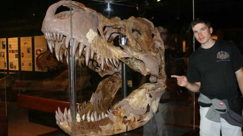 Skull tyrannosauru v muzeji s mužem stojícím vedle.