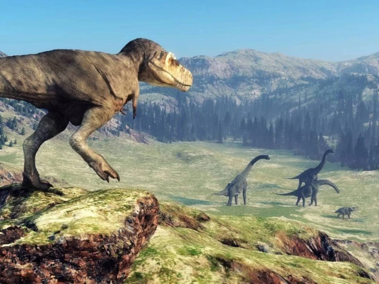 Tyrannosauryr stojí na skále, v údolí jsou sauropodi.