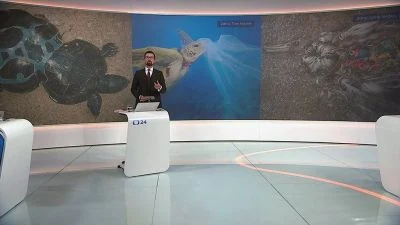 Zpravodaj v televizi s obrázky mořských želv na pozadí