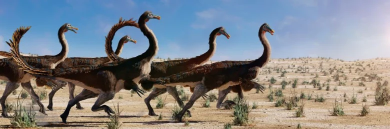Skupina dinosaura Gallimimus běžící po poušti.
