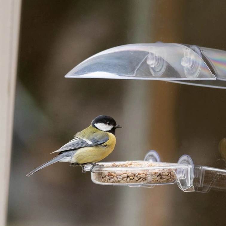 Velký čáp sedí na krmítku u okna plném semen.