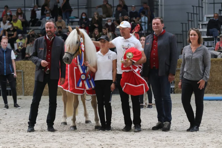 Hafling kůň s trofejí na chovatelské soutěži