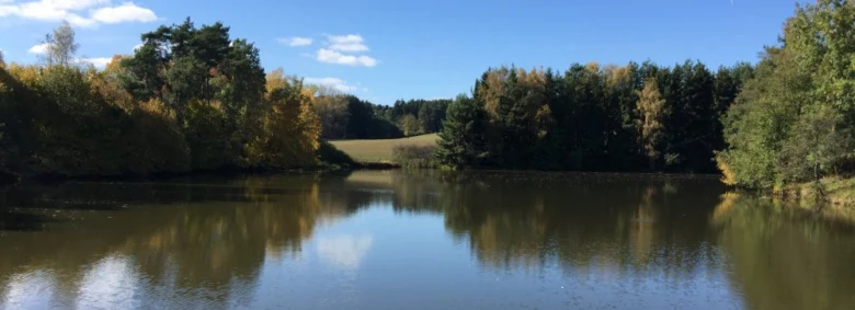 Klidné jezero s odrazem stromů v podzimním lesu.