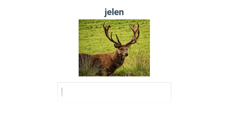 Mužský jelen s rohy stojí na trávnaté louce.