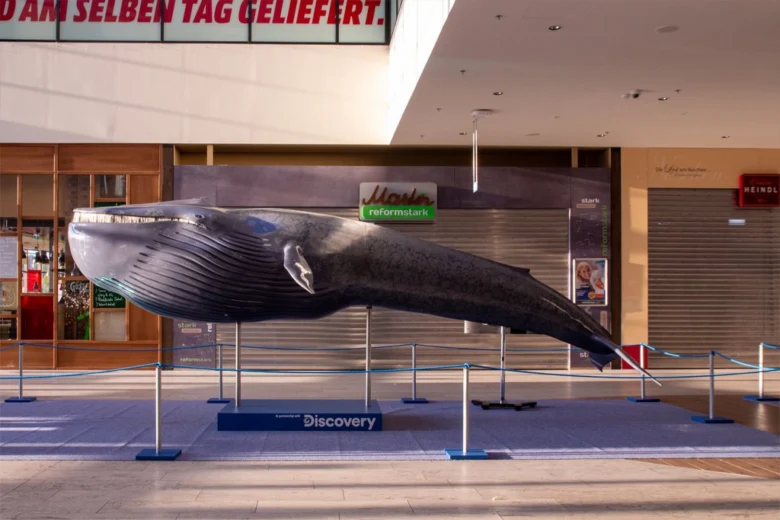 Model plejtváka obrovského vystavený v nákupním centru