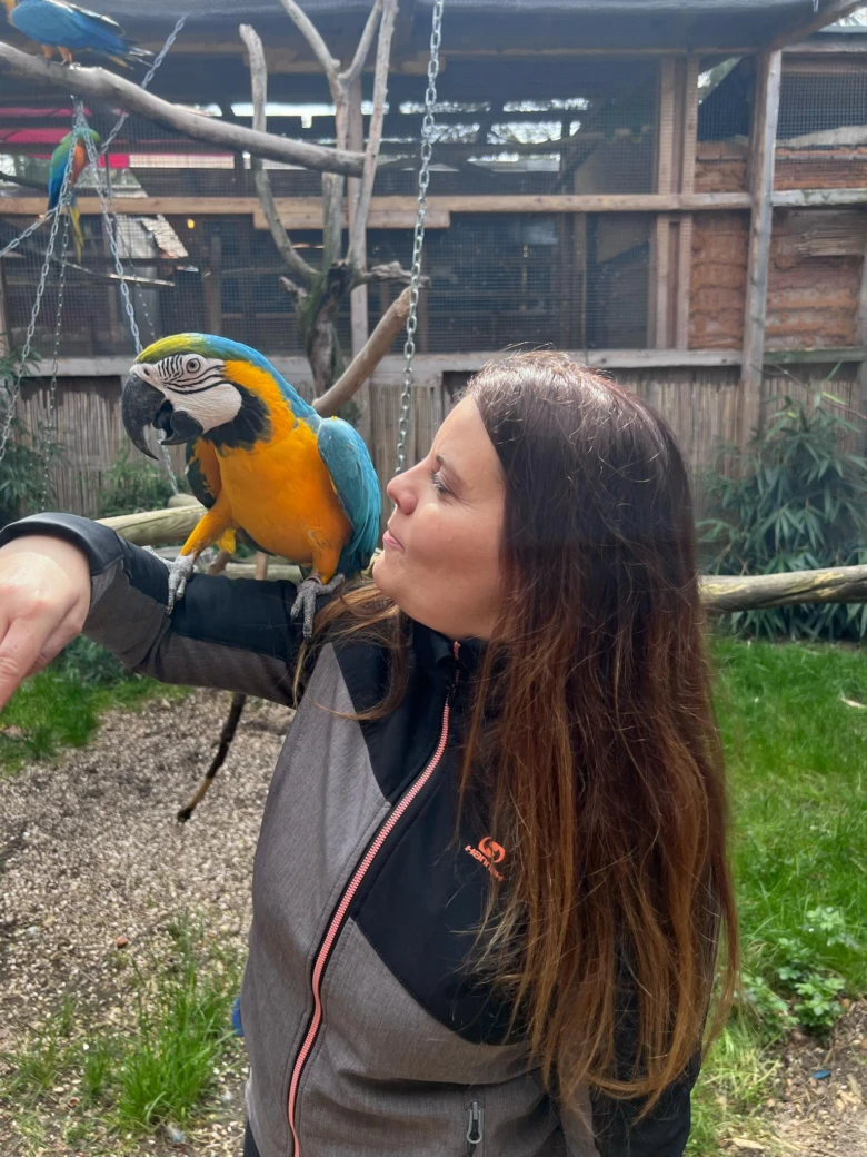 Žena drží modrožlutého papouška na ruce v areálu zooparku.