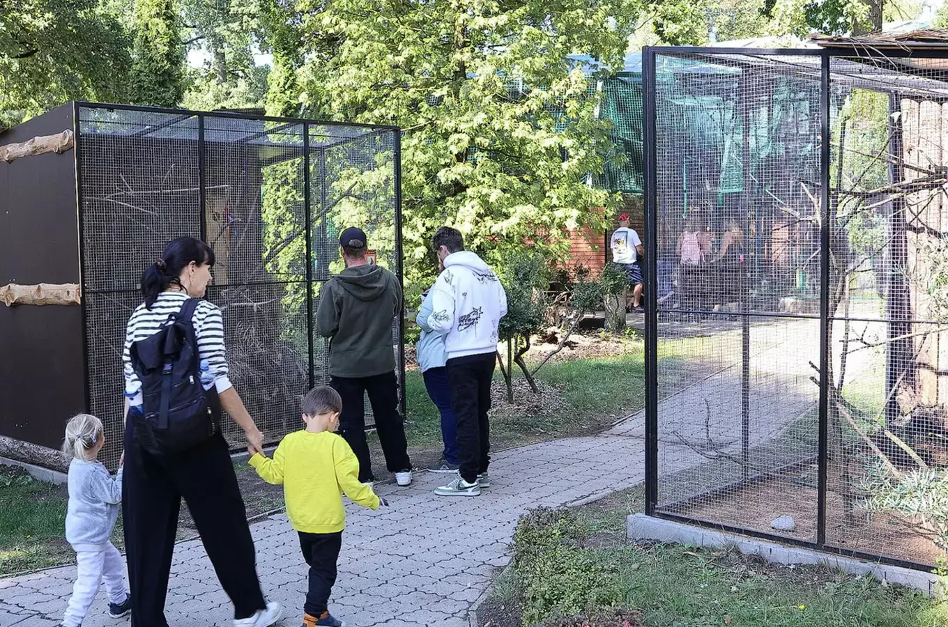 Rodina prochází expozicí zvířat v zoo s mřížovými výběhy.