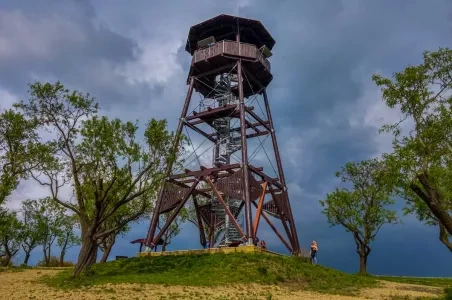 Dřevěná věž na kopci s lesními stromy pod mrakem.